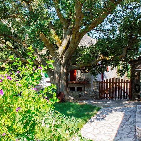 Menelia Cottage Platístoma Chambre photo